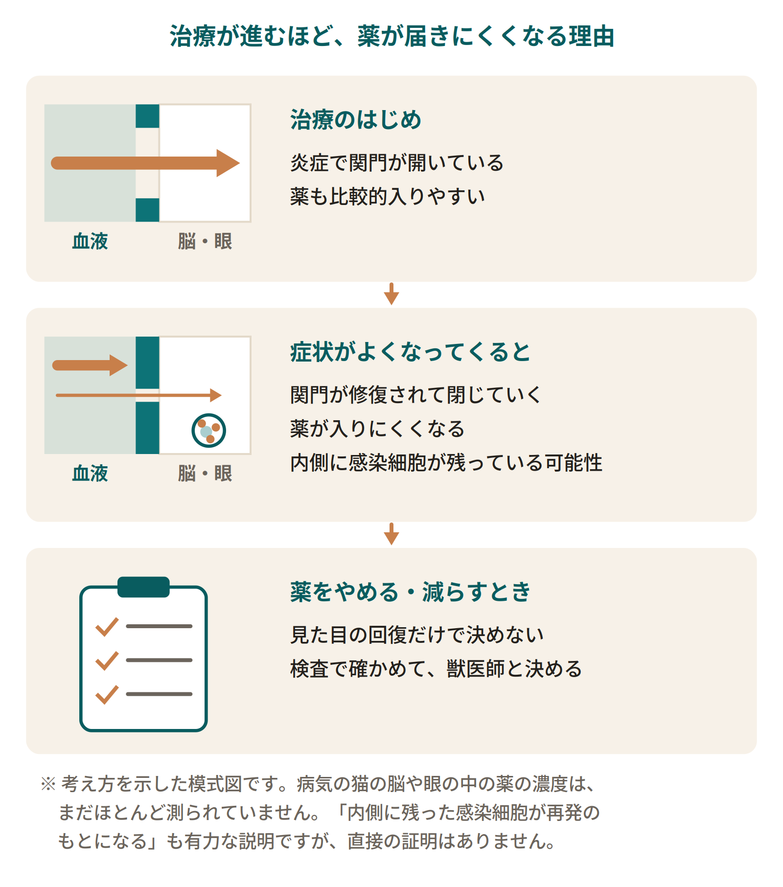 治療の時期と薬の届き方。治療のはじめは炎症で関門が開いていて薬が比較的入る。症状がよくなると関門が閉じて薬が入りにくくなり、内側に感染細胞が残る可能性がある。やめる・減らすときは検査で確かめて獣医師と決める。